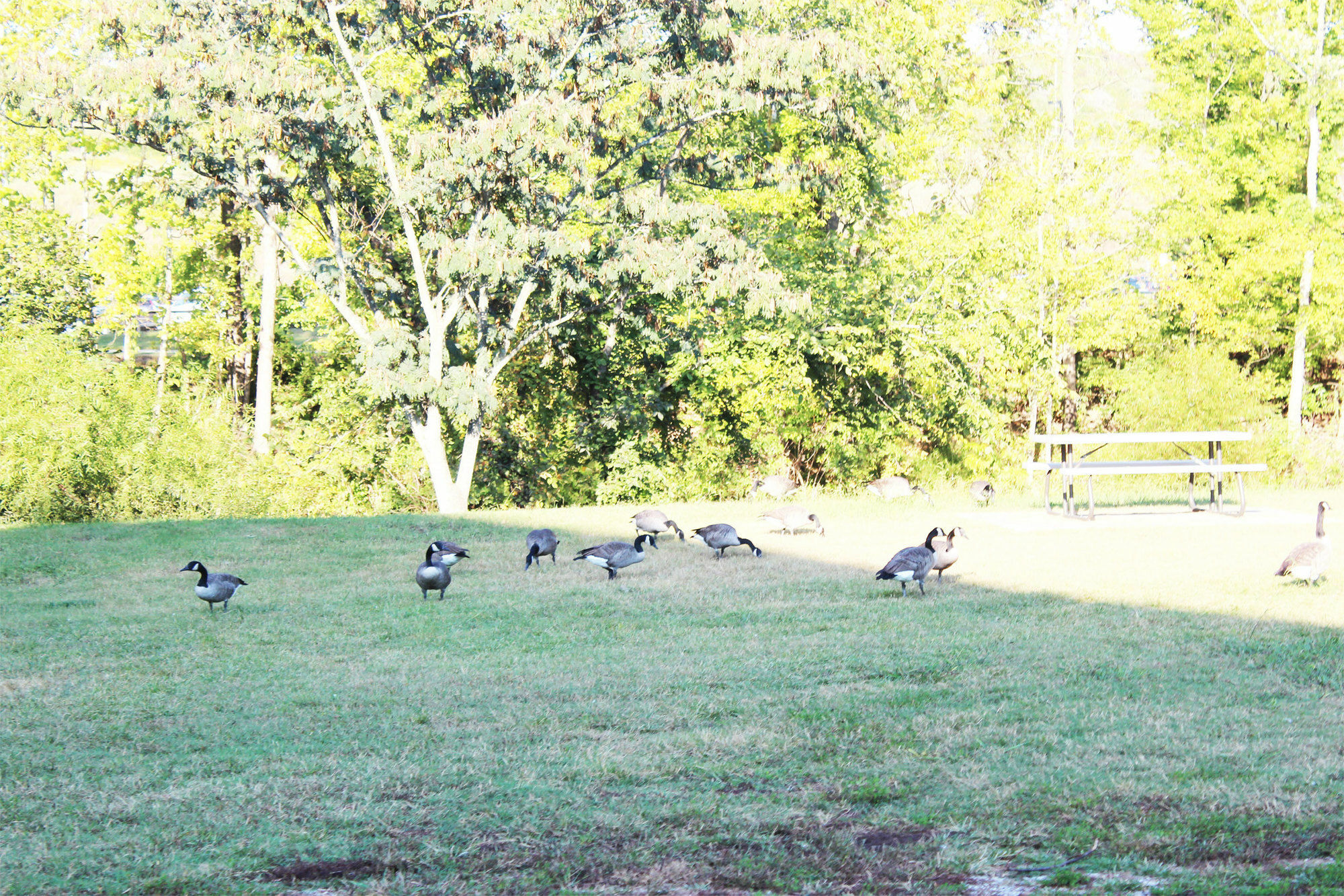 Arbors At Island Landing & 3*